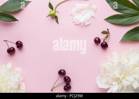 White peony flowers and cherry berries on pastel pink background. Stock Photo