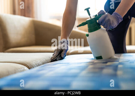 Closeup of upholstered Sofa chemical cleaning Stock Photo