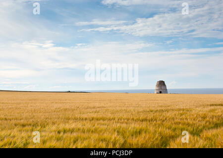 View of a Dovecote beyond a field of Barley at Findlater Castle near Cullen in Aberdeenshire Scotland Stock Photo