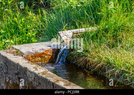 Running clear water to troughs Stock Photo