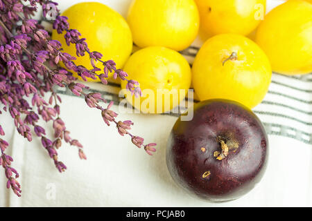 Pile of ripe juicy organic yellow red plums bouquet of lavender flowers on white cotton towel. Autumn fall Produce. Vivid Colors. Provence kitchen int Stock Photo