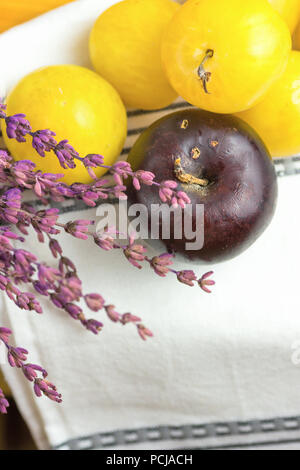 Pile of ripe juicy organic yellow red plums bouquet of lavender flowers on white cotton towel. Autumn fall Produce. Vivid Colors. Provence rural kitch Stock Photo