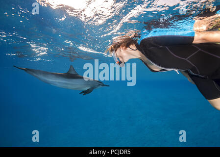 A woman in a mask look at on Spinner Dolphin (Stenella longirostris) Stock Photo