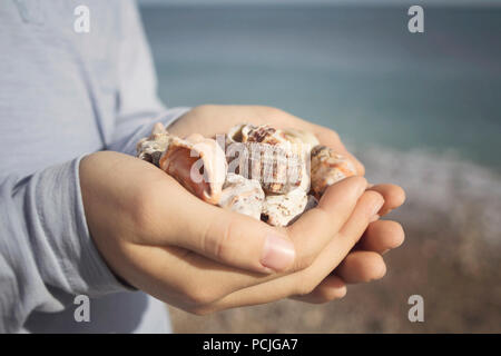 Close-up of a woman holding a handful of seashells Stock Photo