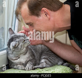 Man playing with a cat Stock Photo