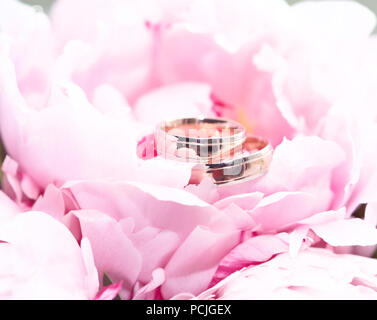 Close-up of wedding rings on a pink peony flower Stock Photo