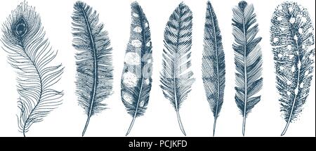 Set of Rustic realistic feathers of different birds, owls, peacocks, ducks. engraved hand drawn in old vintage sketch. Vector illustration. Stock Vector