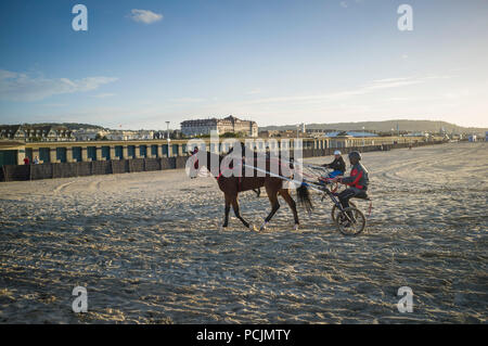 Exercising racehorses in harnesses with two-wheeled carts or sulky on the beach at Deauville, Normandy, France Stock Photo
