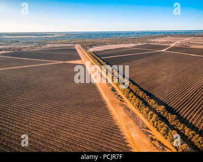 Aerial landscape of large vineyard in Riverland, South Australia Stock Photo