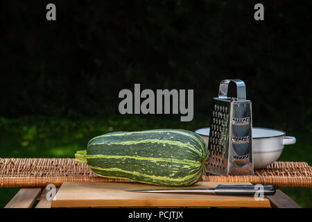 Great spotted zucchini in the garden on the table Stock Photo