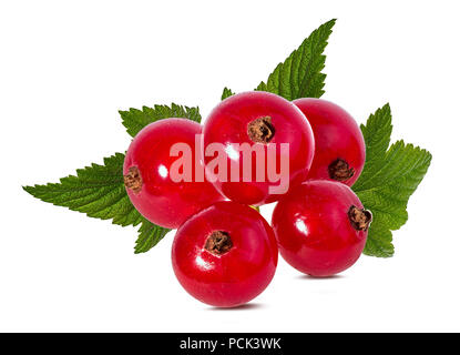 red currant isolated on white background Stock Photo