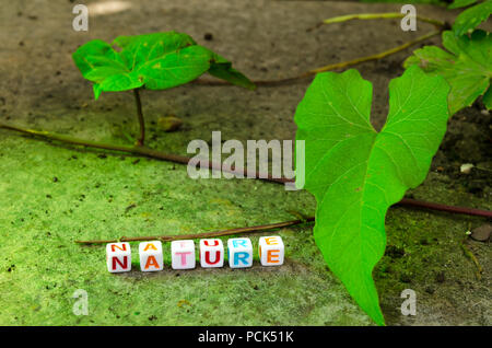 anbefale himmelsk slogan Alphabetical Beads Spelling 'Nature' adjacent to a Flower Bed Stock Photo -  Alamy