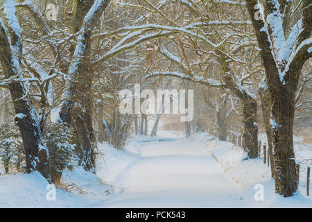Winter, Cades Cove, Great Smoky Mountains NP, TN, USA, by Bill Lea/Dembinsky Photo Assoc Stock Photo
