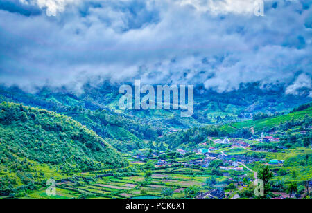 Beautiful green valley with fog covering part of it. From Munnar, Kerala, India. Stock Photo