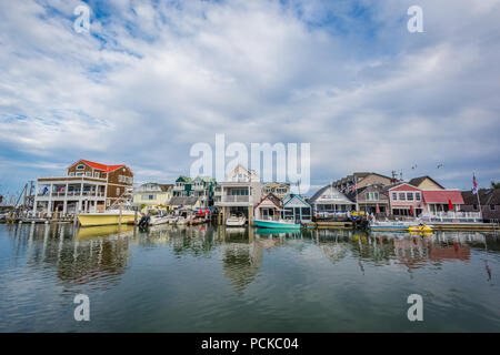 Cape May Harbor, in Cape May, New Jersey. Stock Photo