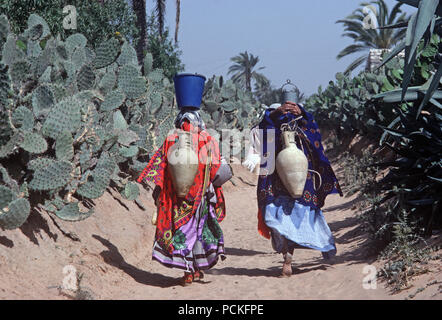 Tunisian Arab Berber women on their way to the Tozeur oasis to collect water in their amphora clay vessels Stock Photo