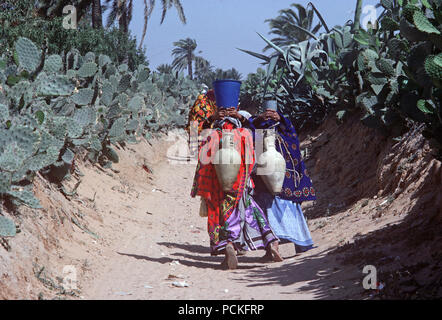 Tunisian Arab Berber women on their way to the Tozeur oasis to collect water in their amphora clay vessels Stock Photo