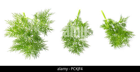 Dill branches isolated on white background Stock Photo