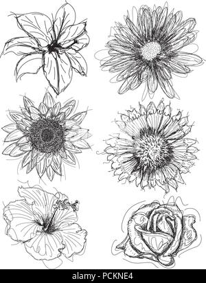 Assorted flower head sketches Stock Vector