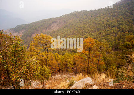 Valley where Jim Corbett shot the Chowgarh maneating tigress, Dharampani, Uttarakhand, India Stock Photo