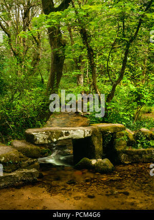 View NE of a clapper bridge beside a ford across a stream in woodland S of Trewoofe & NW of the B3315 SW of Newlyn & Penzance, Cornwall, UK. Stock Photo