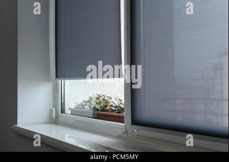 Gray roller shutters on the window. Behind the window are flowers in the flowerpot. Stock Photo