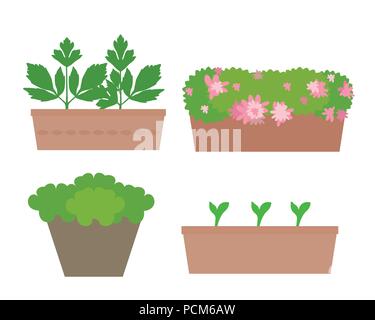 Set of flat design boxes and pots with colorful flowers and vegetables, isolated on white background - vector Stock Vector