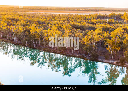 Mallee eucalyptuses reflecting in calm water of Murray River at sunset. Riverland, South Australia Stock Photo
