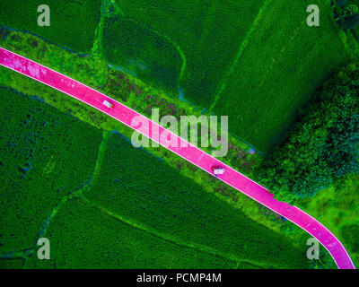 Chengdu, Chengdu, China. 3rd Aug, 2018. Chengdu, CHINA-Aerial photography of Qinggangshu Village in Chengdu, southwest China's Sichuan Province. Credit: SIPA Asia/ZUMA Wire/Alamy Live News Stock Photo