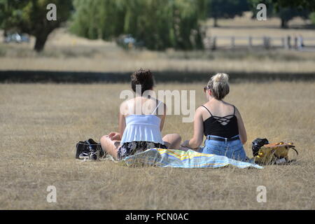 Two women sitting in parched grass in hot weather in Richmond Park, London, UK, 3rd August 2018, Weather: Very hot afternoon with temperatures around 33 degrees Celsius. The heatwave is brought from the south by a Spanish plume. Stock Photo