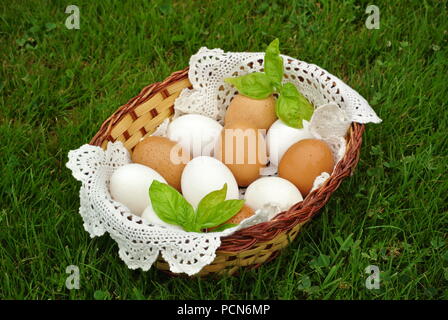 Fresh organic brown and white eggs in a basket with a white crochet doily on the grass Stock Photo
