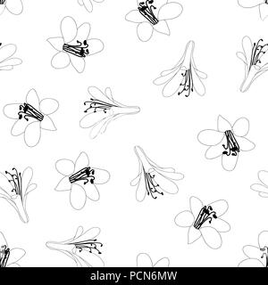 Agapanthus Flower Seamless on White Background. Vector Illustration. Stock Vector