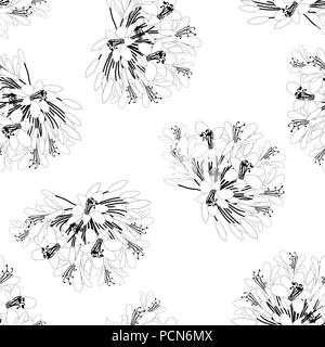Agapanthus Flower Seamless on White Background. Vector Illustration. Stock Vector