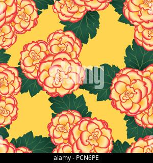 Begonia Flower, Picotee Sunburst on Yellow Background. Vector Illustration. Stock Vector