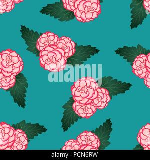 Pink Begonia Flower, Picotee First Love on Green Teal Background. Vector Illustration. Stock Vector