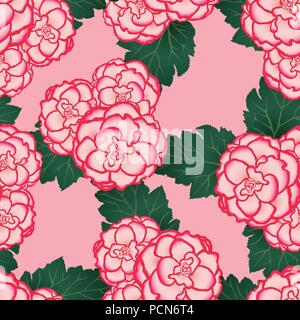 Pink Begonia Flower, Picotee First Love on Pink Background. Vector Illustration. Stock Vector