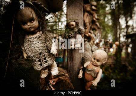 Dolls from La Isla de las Muñecas - The Island of the Dolls, Xochimilco Mexico Stock Photo