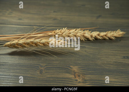 Ears of ripe wheat and rye on a rustic wood background conceptual of a staple nutritious grain food and healthy diet or allergy to gluten. Free copy s Stock Photo