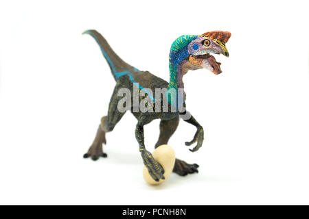 Oviraptor on white background Stock Photo