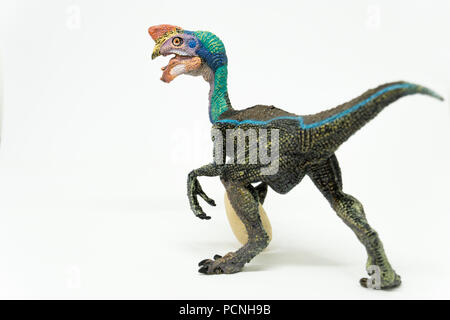 Oviraptor on white background Stock Photo