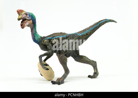 Oviraptor on white background Stock Photo
