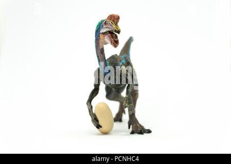 Oviraptor on white background Stock Photo