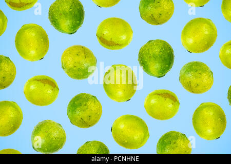 Isolated green lime pattern or wallpaper on light blue background. Summer concept of fresh ripe whole lime fruits shot from above Stock Photo