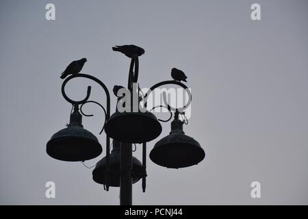 Sunrise in Istanbul, Ortaköy Mosque and the Bosphorus Bridge in the background Stock Photo