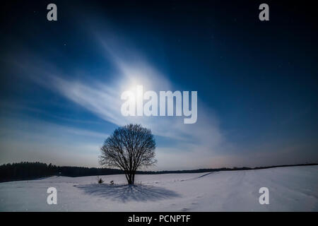 Fairy winter night in a valley with full moon in a starry sky. Lonely tree. Stock Photo