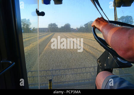 farmers eye view driving combine harvester in field of barley ellerton yorkshire united kingdom Stock Photo