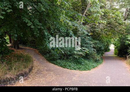 A footpath that spits into two different directions. Stock Photo