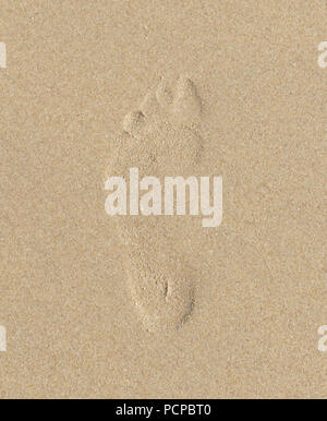 Human footprint on a sandy beach Stock Photo