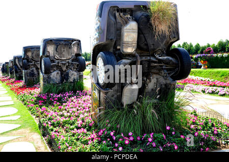 Miracle Garden Dubai United Arab Emirates Stock Photo