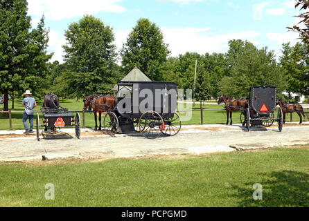 Horses and carriages are parked on the Mesopotamia, Ohio commons as an Amish man stands besides one of the horses on a summer afternoon. Stock Photo